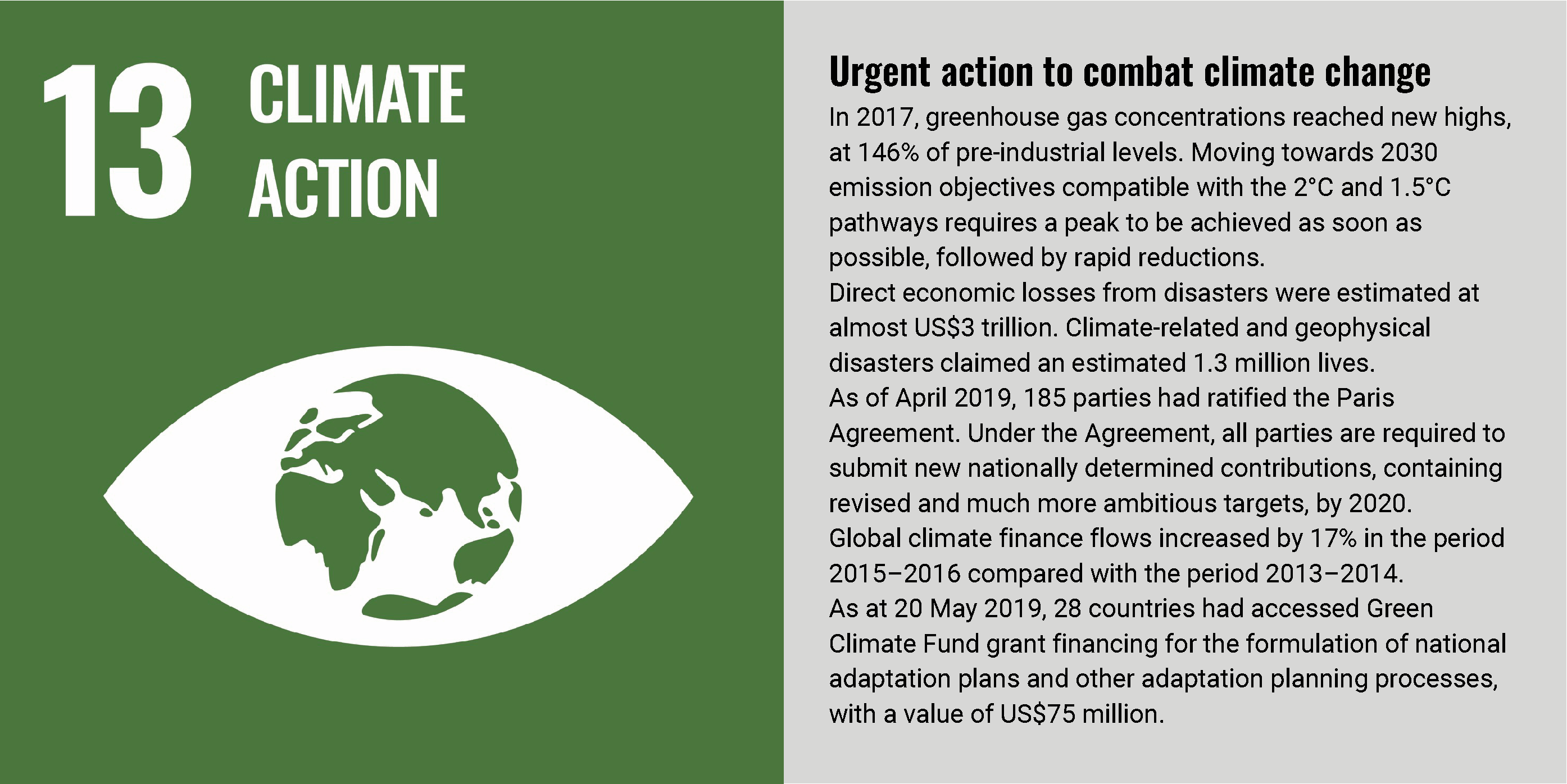 SDG13